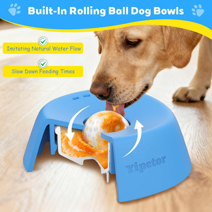 Lickly Slow Feeder Dog Bowl