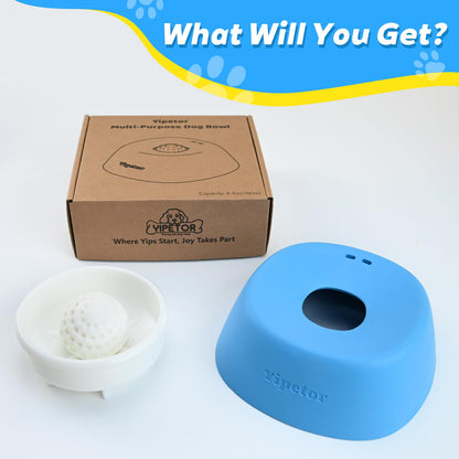 Lickly Slow Feeder Dog Bowl